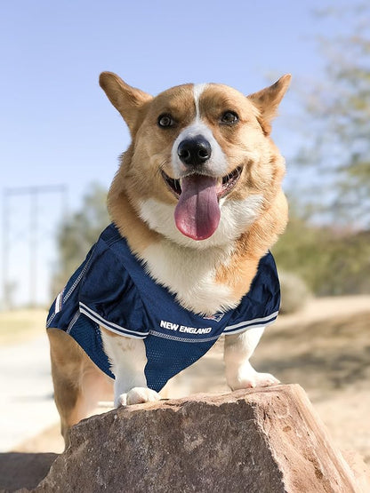 NFL New England Patriots Dog Jersey, Size: XX-Large. Best Football Jersey Costume for Dogs & Cats. Licensed Jersey Shirt
