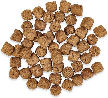 Ketona Salmon Recipe Adult Dry Dog Food, Natural, Low Carb (Only 5%), High Protein (46%), Grain-Free, The Nutrition of a Raw Diet with The Cost and Convenience of a Kibble; 4.2 lb