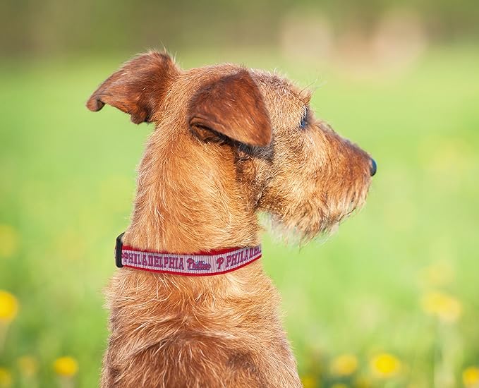 MLB Philadelphia Phillies Licensed PET COLLAR- Heavy-Duty, Strong, and Durable Dog Collar. Available in 29 Baseball Teams and 4 Sizes