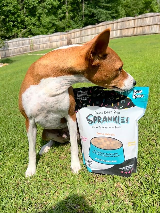 Freeze Dried Dog Food for Small & Large Breeds Dogs, 16 Oz Beef Dog Food Toppers for Picky Eatres, Made in USA - Grain Free & All Natural Freeze Dried Dog Treats Made with 96% Meat Organs