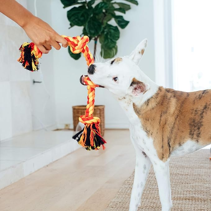 Outward Hound Ropiez 4-Knot Rope Tug Dog Toy, 2-Pack - Chew, Toss, Play, Large