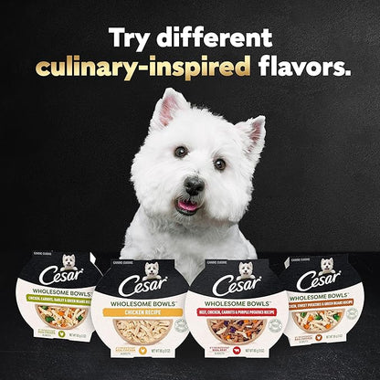 CESAR WHOLESOME BOWLS Adult Soft Wet Dog Food, Chicken Recipe, 3oz., Pack of 10