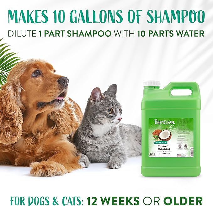 TropiClean Medicated Dog Shampoo for Allergies and Itching | Tea Tree & Oatmeal Dog Shampoo for Sensitive Skin | Natural Pet Shampoo Derived from Natural Ingredients | Made in the USA | 2.5 gallon