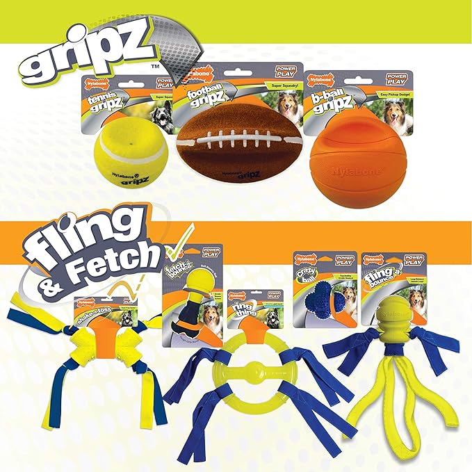Nylabone Power Play Dog Fetch Toys Fling-a-Bounce Medium (1 Count)