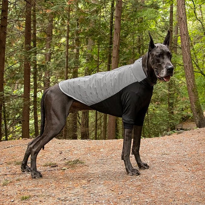 Furhaven Water-Repellent XXL Dog Coat, Washable & Reflective w/ Leash Access & Stretch Fabric - Pro-Fit Active Jacket - Chrome, 2XL/XX-Large