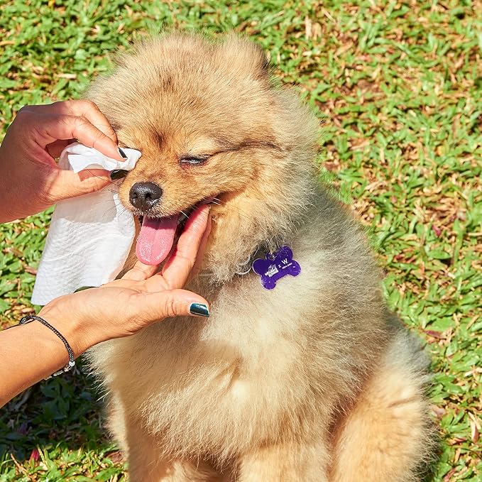 Pet Wipes, 100% Compostable Dog & Cat Grooming and Cleansing Wipes, 100 Wipes