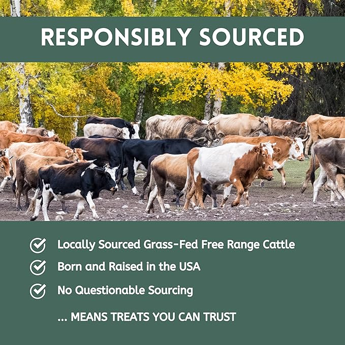 K9 Connoisseur Low to Odor Free Slow Roasted Beef Lung Dog Treats Made in USA, One Ingredient Dog Treats & All Natural Dog Treats, Grain Free Dog Treats for All Breeds & Sizes - 8 Ounce