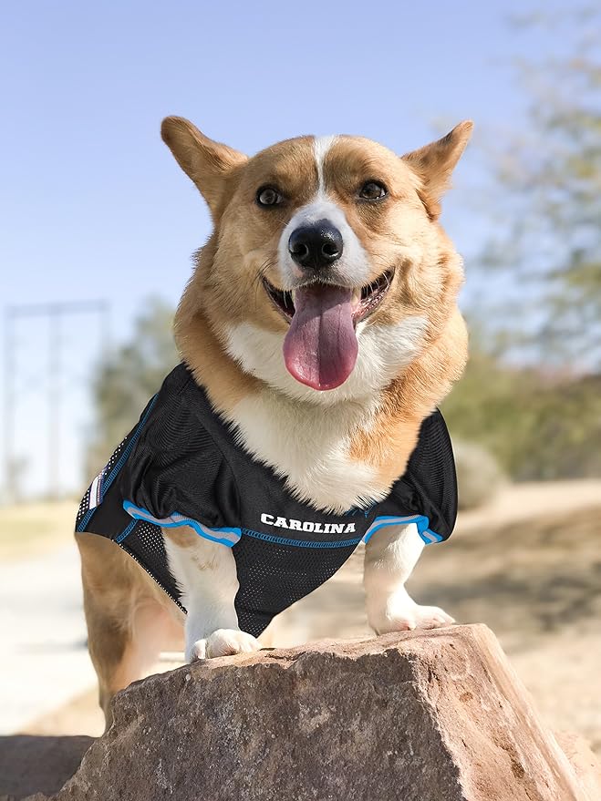 NFL Carolina Panthers Dog Jersey, Size: X-Large. Best Football Jersey Costume for Dogs & Cats. Licensed Jersey Shirt