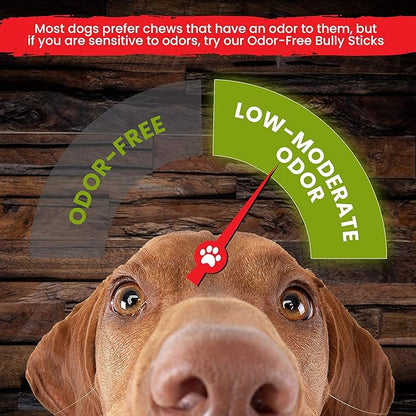 Sancho & Lola's Bully Sticks for Dogs Standard (10 Count) - High-Protein Beef Pizzle Dog Chews - No Antibiotics, No Growth Hormones, Hand-Selected and Inspected in the USA