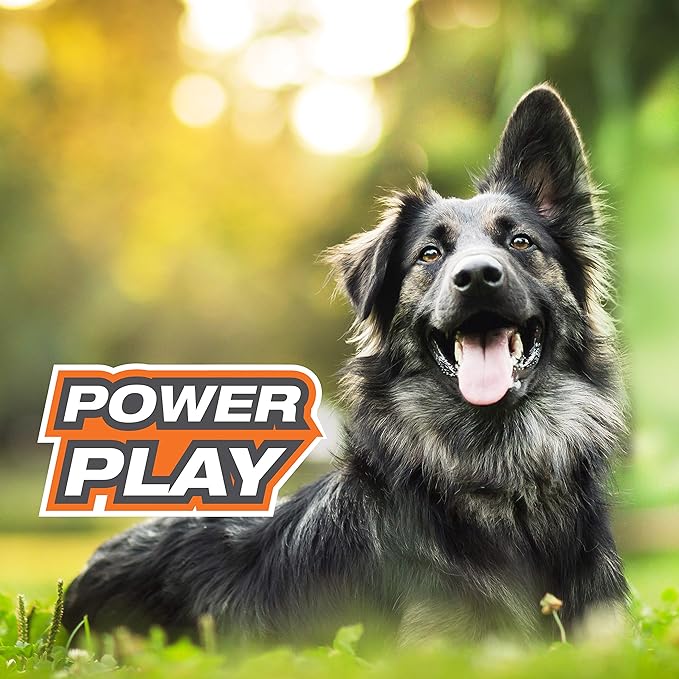 Nylabone Power Play Fling-a-Bounce Interactive Play Toy, Fetch Toy for Dogs, Large (1 Count)
