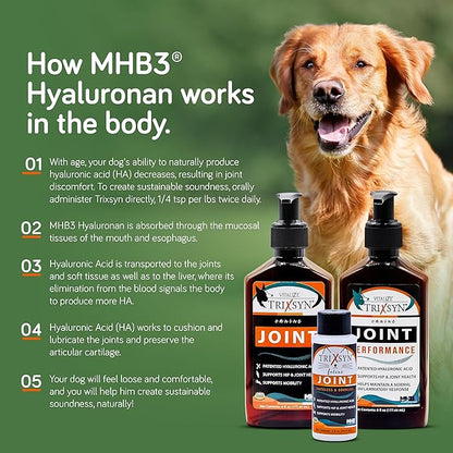 Canine - All Natural Hip and Joint Care for Dogs- Enhance Joint Mobility and Cartilage Function - Live Healthier and Happier- Patented MHB3 Hylauronan Liquid Formula