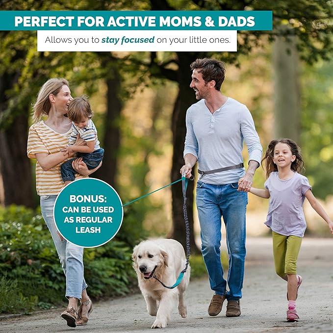 Hands Free Dog Leash for Running, Walking, Hiking, Durable Dual-Handle Bungee Leash is 4 Feet Long with Reflective Stitching, and an Adjustable Waist Belt That Fits up to 42 Inch Waist