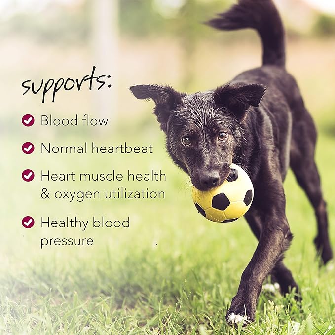 VETRISCIENCE Vetri Cardio Canine Complete Cardiovascular Support for Dogs with CoQ10, Taurine and Arginine, 60 Chews