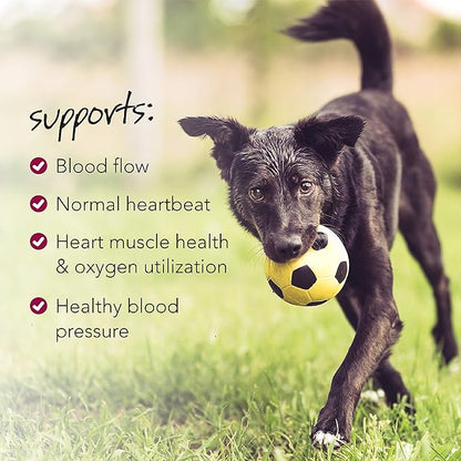 VETRISCIENCE Vetri Cardio Canine Complete Cardiovascular Support for Dogs with CoQ10, Taurine and Arginine, 60 Chews
