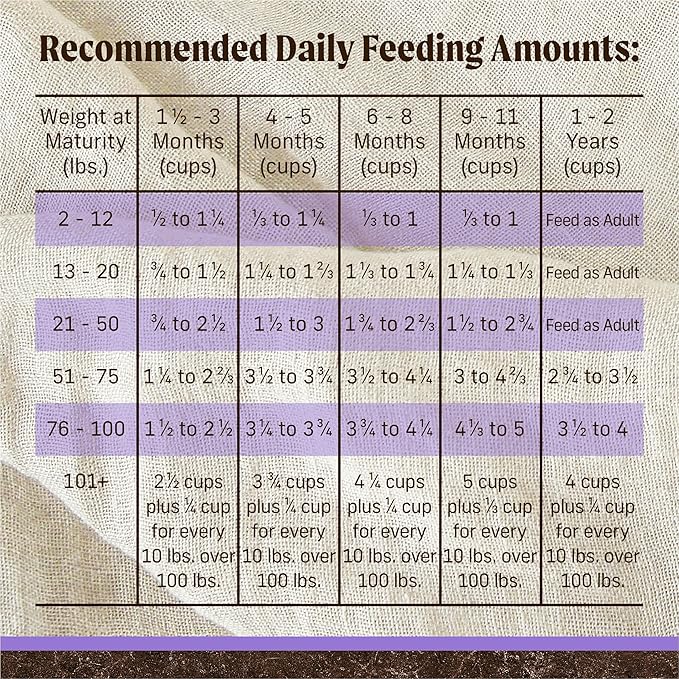 Merrick Premium Grain Free Dry Puppy Food, Wholesome And Natural Kibble With Real Chicken and Sweet Potato - 22.0 lb. Bag