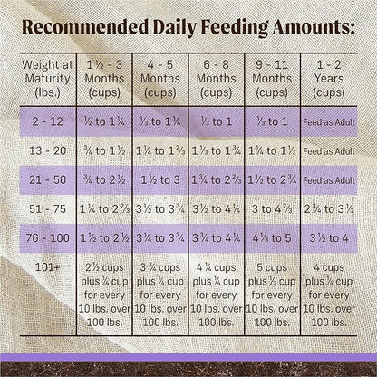 Merrick Premium Grain Free Dry Puppy Food, Wholesome And Natural Kibble With Real Chicken and Sweet Potato - 22.0 lb. Bag