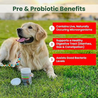 PawMedica Dog Probiotics and Digestive Enzymes, Probiotics for Dogs Made in USA, Pet Probiotic Chews for Dogs, Prebiotics & Probiotic Dog Digestive Support, Probiotic Treats - 60 Dog Probiotic Chews