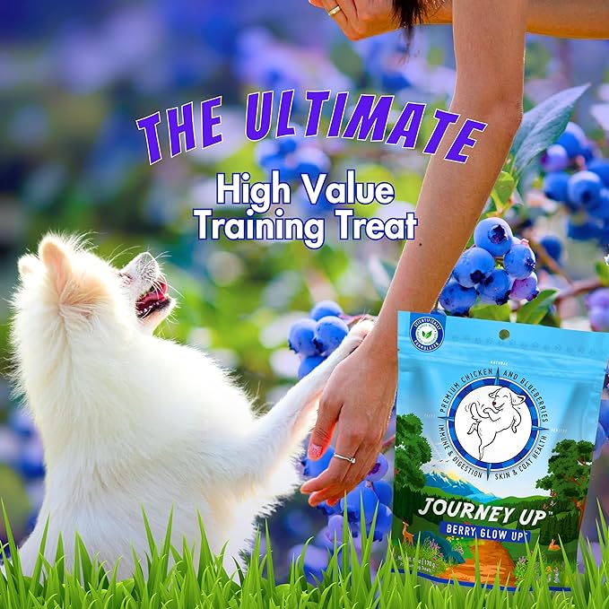 Journey Up Berry Glow Up, Chicken and Blueberry Dog Jerky Treats Made in USA with Prebiotics for Gut & Immune, Omega 3s & 6s for Skin & Coat, Antioxidants for Healthy Aging, Small-Large Dog, 6 oz.