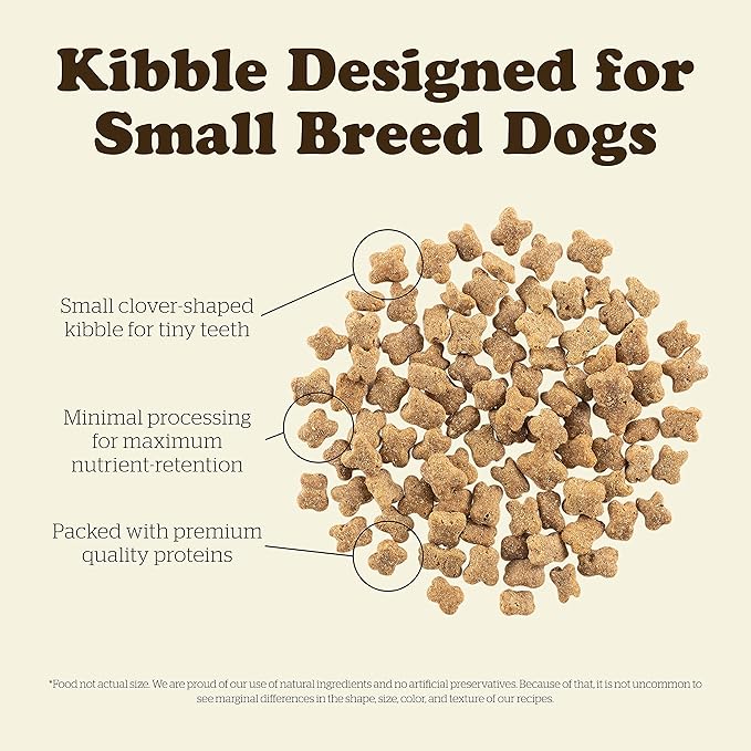Now Fresh Grain Free Small Breed Dog Food, 3.5 lb - Dry Dog Food Senior Recipe - Healthy Diet with Probiotics & Real Meat & Fish for Protein