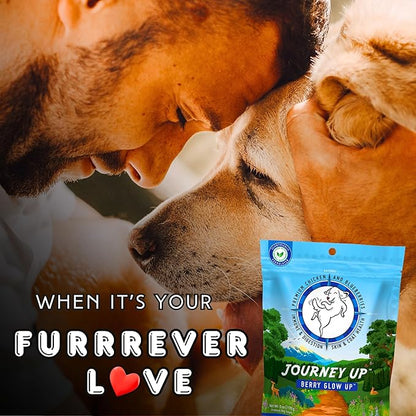 Journey Up Berry Glow Up, Chicken and Blueberry Dog Jerky Treats Made in USA with Prebiotics for Gut & Immune, Omega 3s & 6s for Skin & Coat, Antioxidants for Healthy Aging, Small-Large Dog, 6 oz.