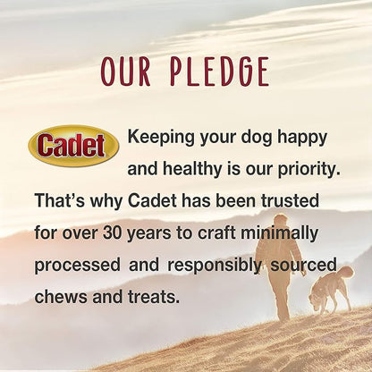 Cadet Gourmet Chicken & Apple Wrapped Dog Treats Wraps - Healthy & Natural Chicken & Apple Dog Training Treats for Small & Large Dogs - Inspected & Tested in USA (14 oz.)