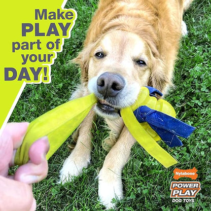 Nylabone Power Play Dog Fetch Toys Fling-a-Bounce Medium (1 Count)