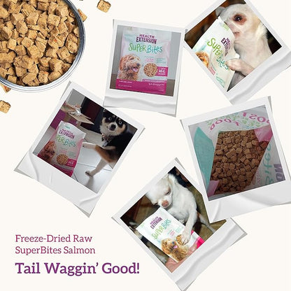Health Extension Super Bites, Freeze-dried Raw, Gluten & Grain-free, with Extra Protein & Super Tasty Healthy Meal Mixer for Dogs, Salmon Recipe (18 Oz / 226 g)