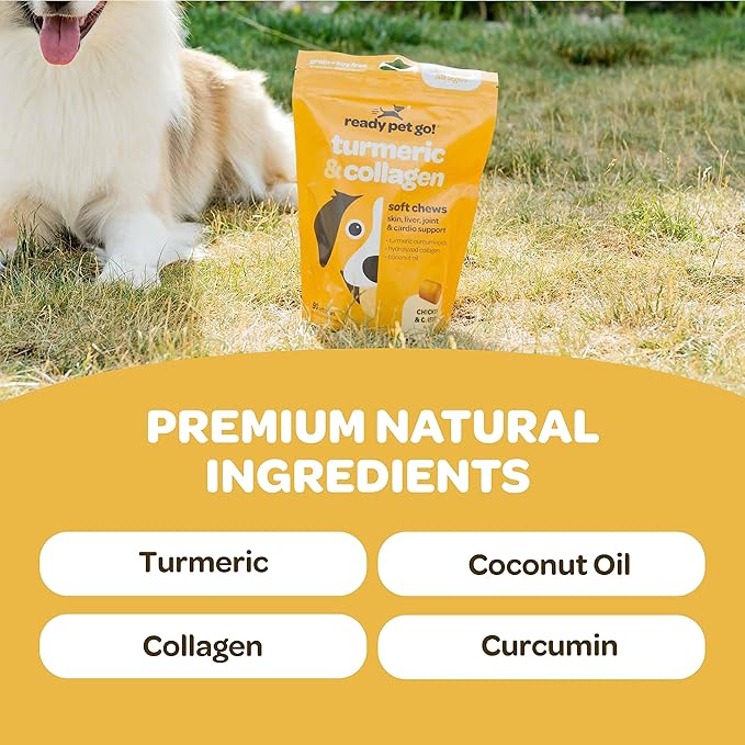 Hip and Joint Supplement for Dogs Turmeric and Collagen Hip and Joint Chews for Dogs Mobility & Comfort | Dog Hip and Joint Supplement Large Breed Small Breed and Senior Dogs | 90 Chews