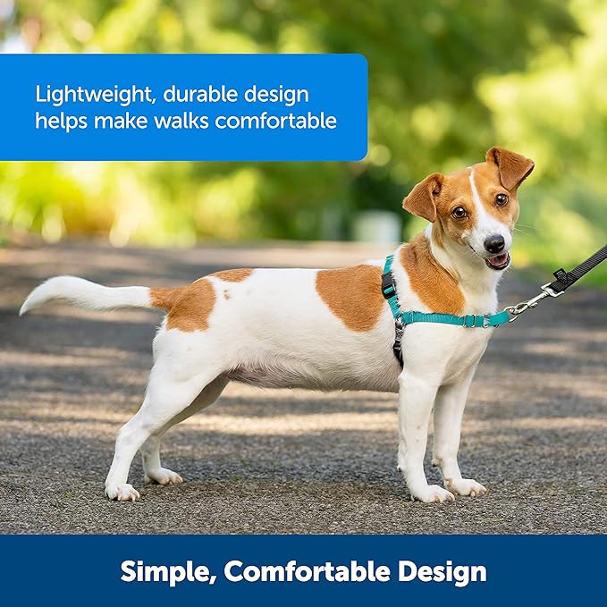 PetSafe Easy Walk No-Pull Dog Harness - The Ultimate Harness to Help Stop Pulling - Take Control & Teach Better Leash Manners - Helps Prevent Pets Pulling on Walks - Small, Black/Silver