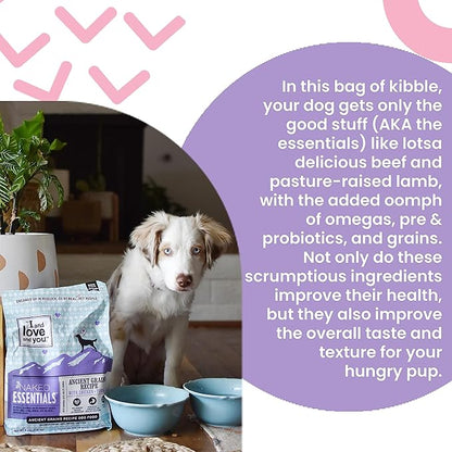 I and love and you Naked Essentials Ancient Grains Dry Dog Food - Chicken + Turkey - High Protein, Real Meat, No Fillers, 4lb Bag