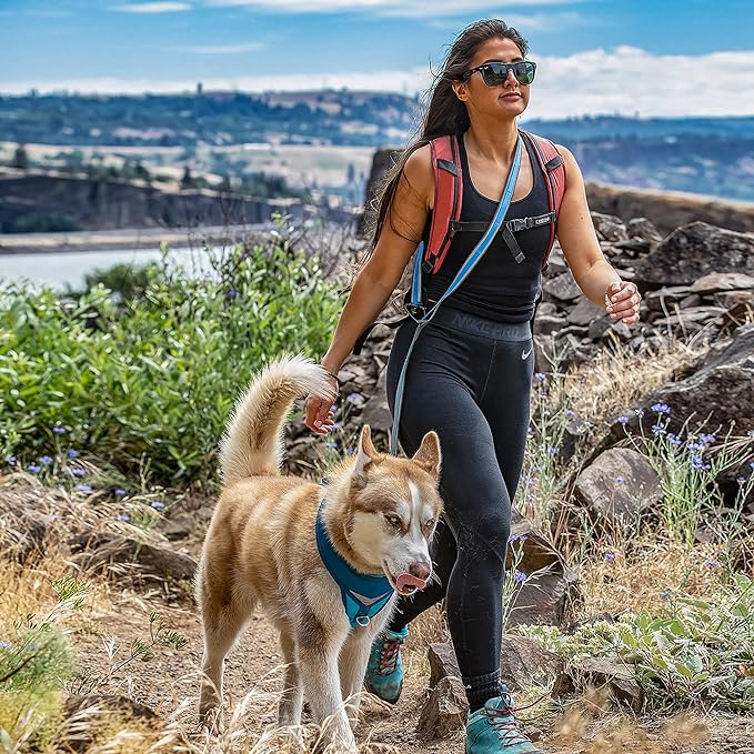 Kurgo 6 in 1 Quantum Leash, Hands Free Leash for Dogs, Running Belt Lead, Crossbody & Waist Belt Style, Reflective, Carabiner Clip, for Training, Hiking, or Jogging, 4 colors