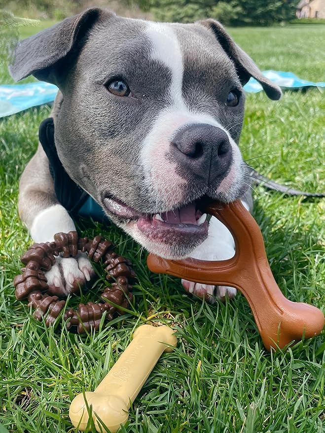 Nylabone Power Chew Toys Customer Favorites Bundle - Dog Toys for Aggressive Chewers, Indestructible Dog Toys for Small Dogs in 3 Shapes and Flavors - Flavor Medley, Small/Regular (3 Count)