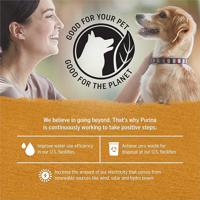 Purina Beyond Grain Free Chicken & Sweet Potato Recipe in Gravy Adult Wet Dog Food - 12/12.5 oz. Can