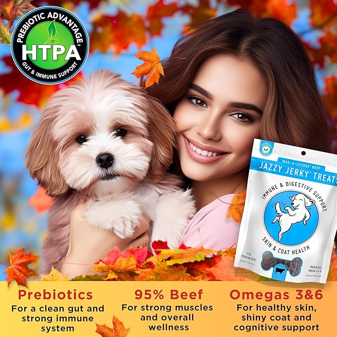 Canine Wellness, Jazzy Jerky, Natural 95% Beef Jerky Treats, Healthy Dog Treats Made in USA, Gut & Immune Health, Skin & Coat, Small-Large Dogs, 15 oz