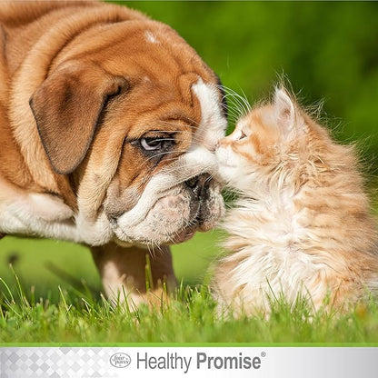 Four Paws Healthy Promise Pet Eye Wipes 35 Count