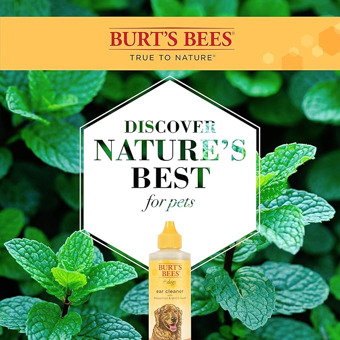 Burt's Bees for Pets Naturally Derived Ear Cleaner with Peppermint and Witch Hazel - Effective & Gentle Dog Ear Cleaning Solution for All Dogs And Puppies - Made in USA, 4 Oz - 2 Pack