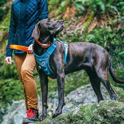 Kurgo Journey Air Dog Harness, Vest Harnesses for Dogs, Pet Hiking Harness for Running & Walking, Reflective, Padded, includes Control Handle, No Pull Front Clip (Blue, Medium)
