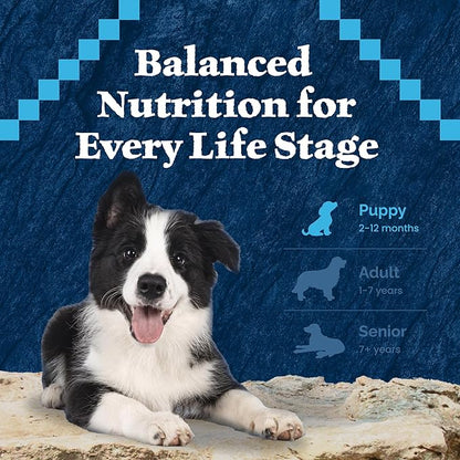 Blue Buffalo Wilderness High Protein, Natural Puppy Wet Dog Food, Turkey & Chicken Grill 12.5-oz cans (Pack of 12)
