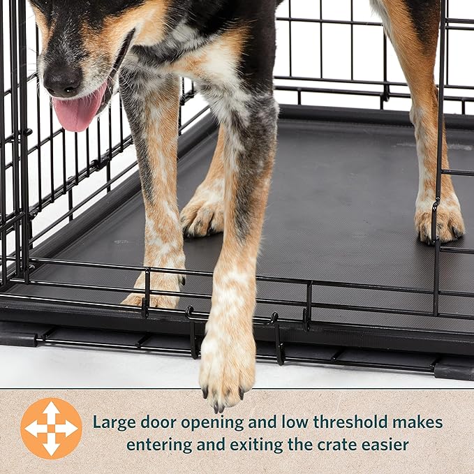 MidWest Homes for Pets XL Dog Crate | MidWest Life Stages Folding Metal Crate | Divider Panel, Floor Protecting Feet, Leak-Proof Pan | 48L x 30W x 33H Inches, XL Dog Breed