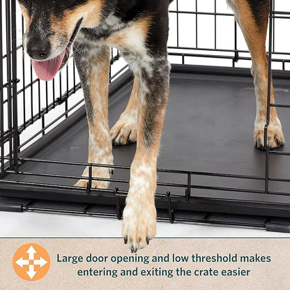 MidWest Homes for Pets XL Dog Crate | MidWest Life Stages Folding Metal Crate | Divider Panel, Floor Protecting Feet, Leak-Proof Pan | 48L x 30W x 33H Inches, XL Dog Breed