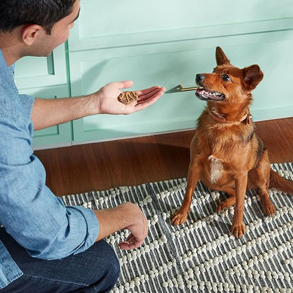 Nutrish Rachael Ray Bark Jerky-Style Dog Treats with Real Chicken Jerky, Peanut Butter & Bacon, 4.5 Ounce (Pack of 5)