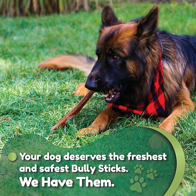Premium European Beef Bully Sticks 6" - 100% Extra Lean Bully Bones Rawhide-Free & Odor-Free Dog Treats for Small, Medium and Large Dogs | Long Lasting Dental Dog Chews - Pack of 30