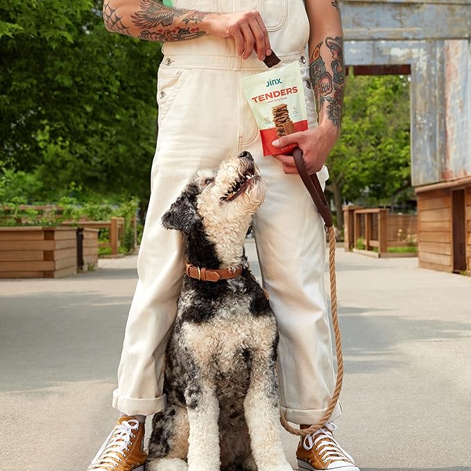 Jinx Tenders Soft Jerky Natural Dog Treats - Made with Slow-Smoked Real Beef & Liver, No Fillers, Low-Calorie - for Puppies, Adult, and Senior Dogs, 5 oz. Bags, 6-Pack - Beef