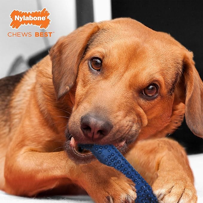 Nylabone Flexi Chew Moderate Textured Dental Chew Toy for Dogs, Chicken Flavor, Medium/Wolf (1 Count)