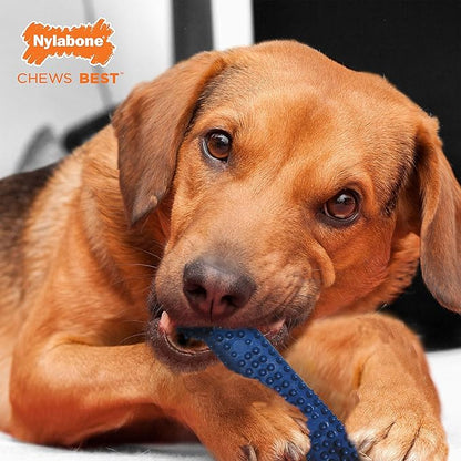 Nylabone Flexi Chew Moderate Textured Dental Chew Toy for Dogs, Chicken Flavor, Medium/Wolf (1 Count)