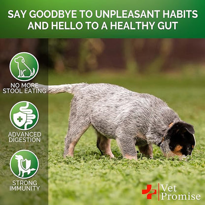 No Poo Chews for Dogs - Coprophagia Stool Eating Deterrent for Dogs - Prevent Dog from Eating Poop - Stop Eating Poop - Probiotics & Digestive Enzymes Supplement - Forbid for Dogs - Made in USA