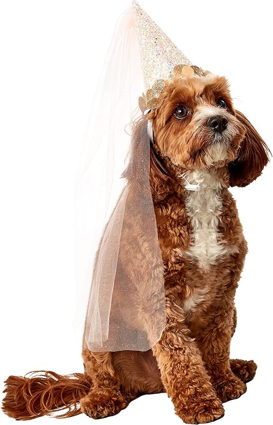 Rubie's Pet Birthday Fairy Cone Hat, As Shown, Medium/Large