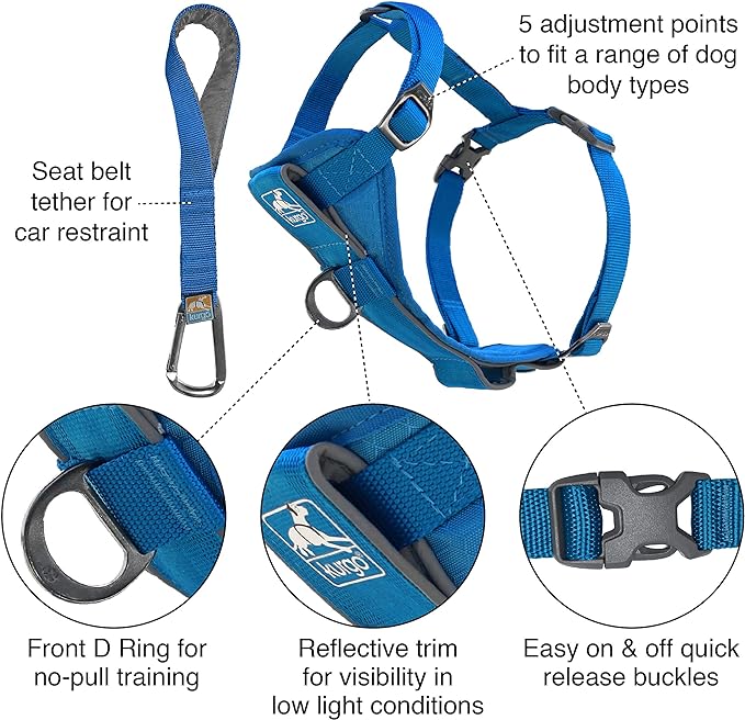 Kurgo Tru-Fit Smart Harness, Dog Harness, Pet Walking Harness, Quick Release Buckles, Front D-Ring for No Pull Training, includes Dog Seat Belt Tether (Blue, X-Small)