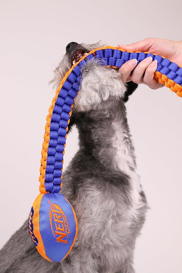 Nerf Dog Vortex Chain Tug Dog Toy with Squeaker Football Head, Lightweight, Durable, Water Resistant, 30 Inches, For Medium to Extra-Large Breeds, Single Unit (3474)