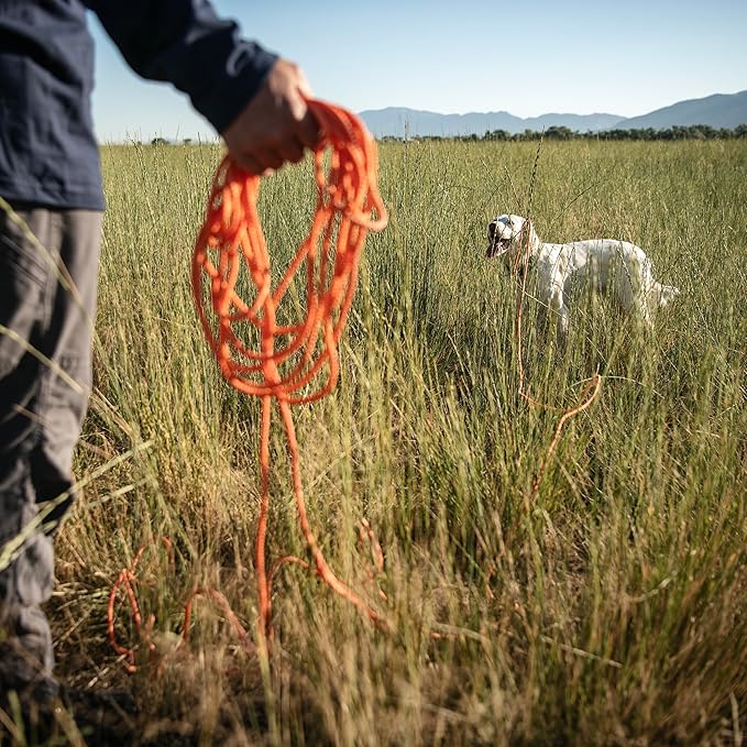 Browning 30ft Braided Check Cord, Dog Training Leash, Weather Resistant & Floats in Water, Blaze
